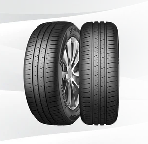 215/60R16 Evergreen EH22 99V Tyre